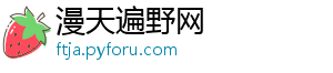 漫天遍野网